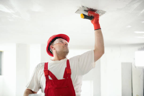 Best Emergency Mold Remediation  in Beattystown, NJ